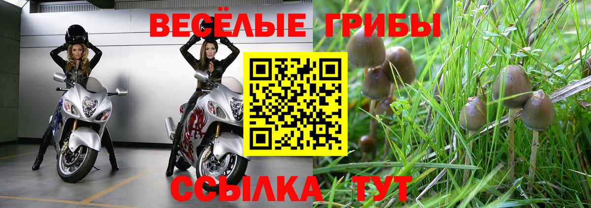 Галлюциногенные грибы прущие грибы Кириши