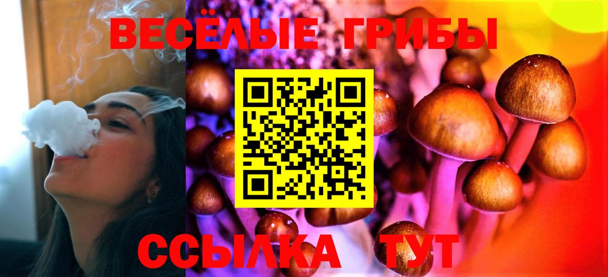 Кириши  Псилоцибиновые грибы Psilocybe  Псилоцибиновые грибы прущие грибы  Вход с VPN 